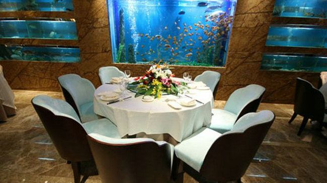 Four Seasons Rayli Hotel Ningbo Restaurant foto